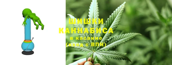 Альфа ПВП Белокуриха