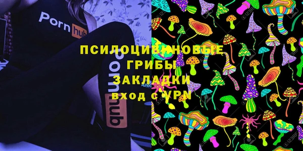 прущие грибы Елизово